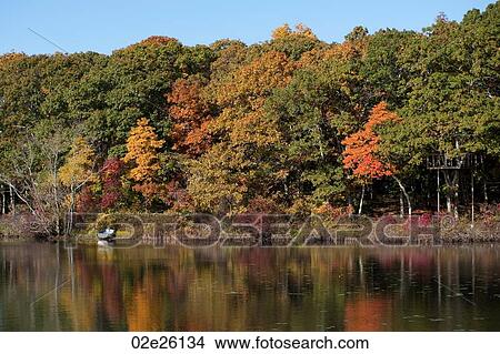 Autumn trees in The Hamptons View Large Photo Image Picture - Autumn trees in The Hamptons. Fotosearch