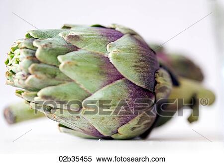 Baby Artichoke View Large Photo Image Stock Photography - Baby Artichoke. Fotosearch