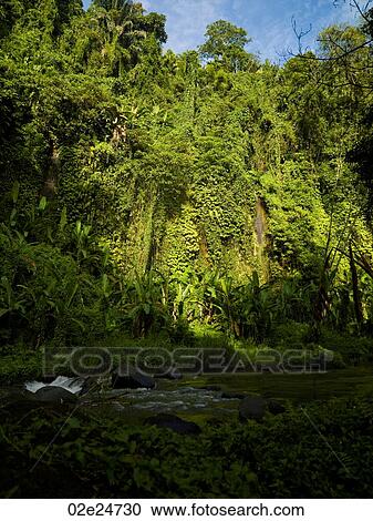 Bali Landscape View Large Photo Image Stock Image - Bali Landscape. Fotosearch