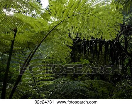 Stock Image - Bali Landscape. Fotosearch