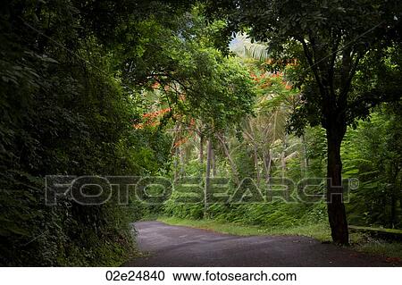 Stock Image - Bali landscape. Fotosearch