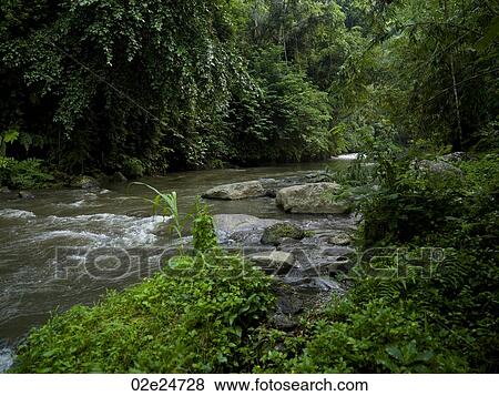 Bali landscape View Large Photo Image Stock Photo - Bali landscape. Fotosearch
