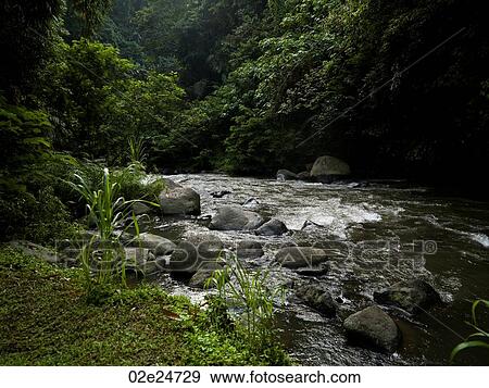 Bali landscape View Large Photo Image Stock Photo - Bali landscape. Fotosearch