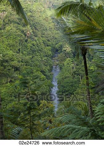 Bali landscape View Large Photo Image Stock Photograph - Bali landscape. Fotosearch