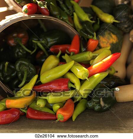 Picture - Basket of chili peppers. Fotosearch