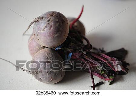 Beetroot View Large Photo Image Stock Image - Beetroot. Fotosearch
