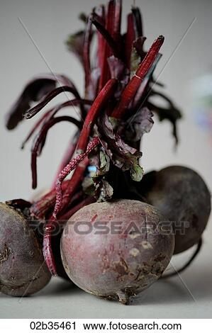 Beetroot View Large Photo Image Stock Image - Beetroot. Fotosearch