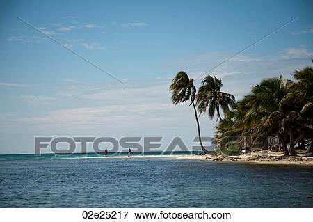 Belize Barrier Reef, Laughing Bird Caye View Large Photo Image Stock Photo - Belize Barrier Reef, Laughing Bird Caye. Fotosearch
