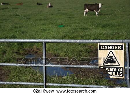 Beware of the bull sign on gate of field in County Cork, Ireland View Large Photo Image Stock Photo - Beware of the bull sign on gate of field in County Cork, Ireland. Fotosearch