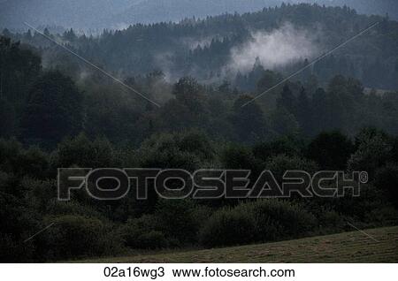 Bieszczady Mountains National Park, Poland View Large Photo Image Stock Image - Bieszczady Mountains National Park, Poland. Fotosearch