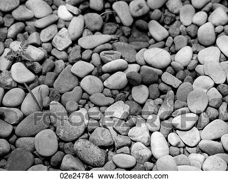 Black and White image of small rock pebbles View Large Photo Image Picture - Black and White image of small rock pebbles. Fotosearch