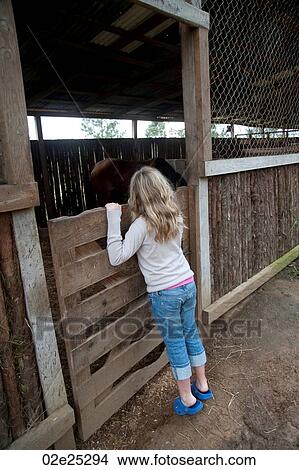 Blond girl looking over stable wall at Mountain Pine Ridge Reserve View Large Photo Image Picture - Blond girl looking over stable wall at Mountain Pine Ridge Reserve. Fotosearch