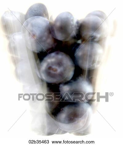 Blueberries View Large Photo Image Stock Image - Blueberries. Fotosearch