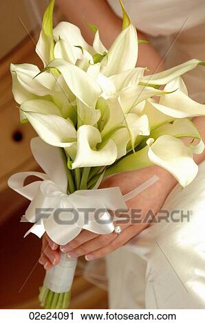 Bride with wedding bouquet. View Large Photo Image Stock Image - Bride with wedding bouquet.. Fotosearch