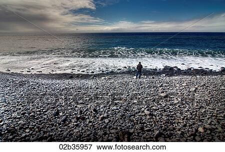 Camacha, Madeira Island, Portugal View Large Photo Image Stock Photo - Camacha, Madeira Island, Portugal. Fotosearch