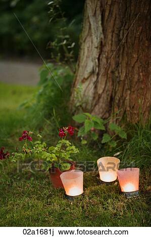Candles by a tree View Large Photo Image Stock Image - Candles by a tree. Fotosearch
