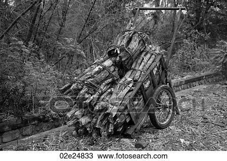 Cart full of logs in Bali View Large Photo Image Stock Image - Cart full of logs in Bali. Fotosearch