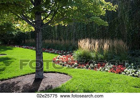 Chicago Park View Large Photo Image Stock Photography - Chicago Park. Fotosearch