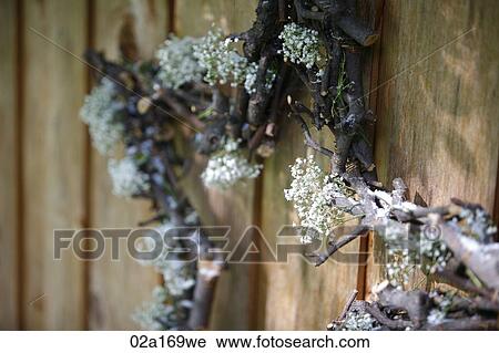 Christmas decorations View Large Photo Image Stock Image - Christmas decorations. Fotosearch
