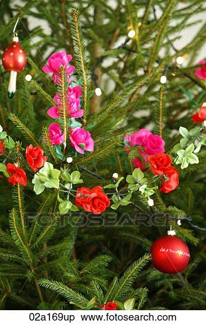 Christmas decorations View Large Photo Image Stock Photography - Christmas decorations. Fotosearch