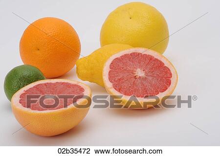 Stock Image - Citrus fruits. Fotosearch