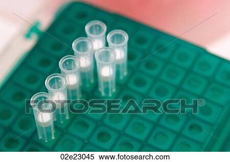 Clear eppendorfs in a green tray. View Large Photo Image Stock Photography - Clear eppendorfs in a green tray.. Fotosearch