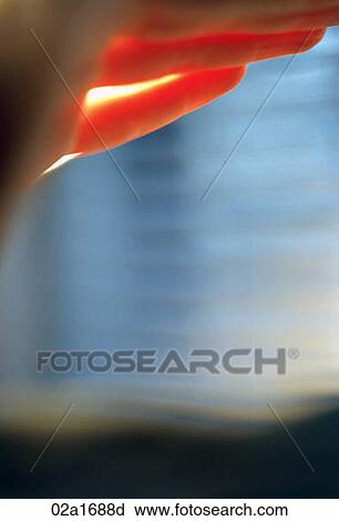 Close up of hand illuminated by the sun View Large Photo Image Stock Image - Close up of hand illuminated by the sun. Fotosearch
