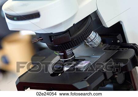 Picture - Close-up of microscope.. Fotosearch