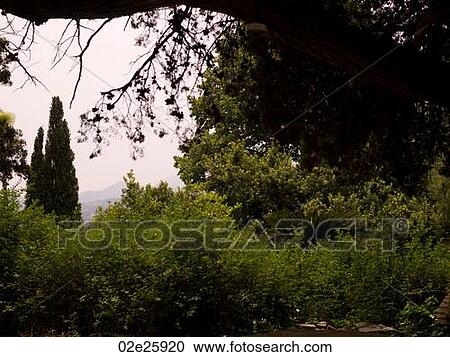 Corfu landscape View Large Photo Image Stock Image - Corfu landscape. Fotosearch