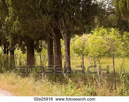 Corfu landscape View Large Photo Image Stock Photograph - Corfu landscape. Fotosearch
