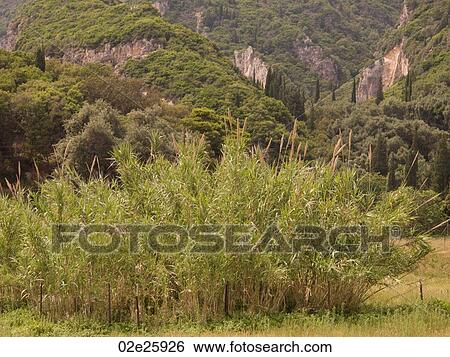 Corfu landscape View Large Photo Image Stock Photograph - Corfu landscape. Fotosearch
