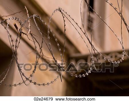 Curled barbwire in Athens Greece View Large Photo Image Stock Photo - Curled barbwire in Athens Greece. Fotosearch