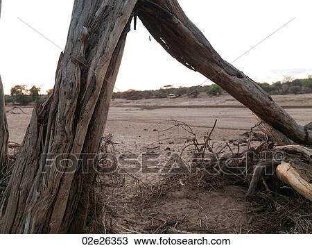 Dried riverbed in Kenya Africa View Large Photo Image Stock Image - Dried riverbed in Kenya Africa. Fotosearch
