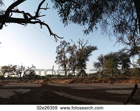 Dried riverbed in Kenya Africa View Large Photo Image Stock Photo - Dried riverbed in Kenya Africa. Fotosearch