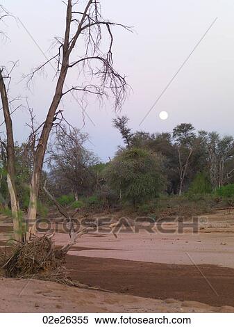 Dried riverbed in Kenya Africa View Large Photo Image Stock Photography - Dried riverbed in Kenya Africa. Fotosearch