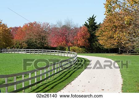 Driveway in the Hamptons, New York View Large Photo Image Stock Image - Driveway in the Hamptons, New York. Fotosearch