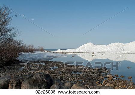 Edge of Lake Winnipeg in Gimli, Manitoba Canada View Large Photo Image Stock Photograph - Edge of Lake Winnipeg in Gimli, Manitoba Canada. Fotosearch