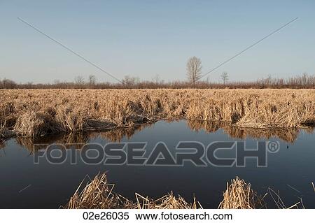 Edge of Lake Winnipeg in Gimli, Manitoba Canada View Large Photo Image Stock Photography - Edge of Lake Winnipeg in Gimli, Manitoba Canada. Fotosearch