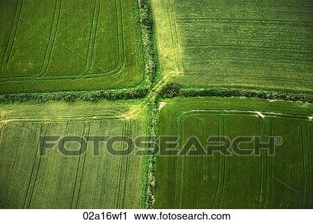 Farmland in County Cork, Ireland, aerial view View Large Photo Image Stock Image - Farmland in County Cork, Ireland, aerial view. Fotosearch