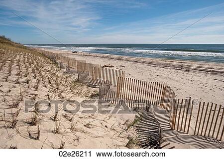 Fencing along the beach at the Hamptons View Large Photo Image Stock Image - Fencing along the beach at the Hamptons. Fotosearch