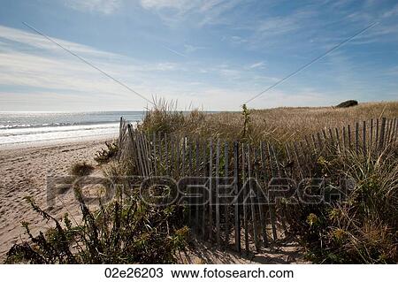 Fencing along the beach in the Hamptons View Large Photo Image Stock Image - Fencing along the beach in the Hamptons. Fotosearch