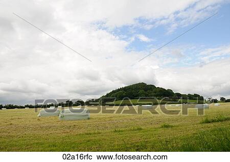 Field of wrapped bales View Large Photo Image Stock Image - Field of wrapped bales. Fotosearch