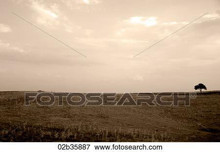 Stock Photo - Fields, Road Lisbon Madrid, Spain. Fotosearch