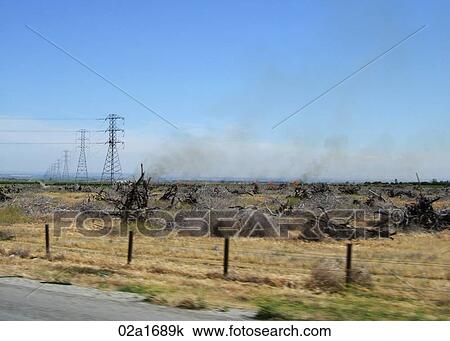 Fire by the road side View Large Photo Image Stock Image - Fire by the road side. Fotosearch