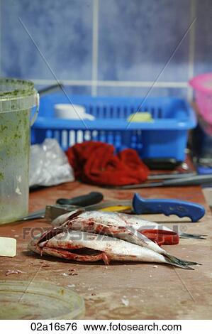 Fish on table View Large Photo Image Stock Photograph - Fish on table. Fotosearch