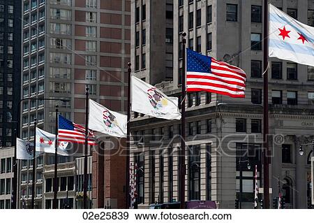 Flags along Michigan Avenue in Chicago View Large Photo Image Stock Photo - Flags along Michigan Avenue in Chicago. Fotosearch