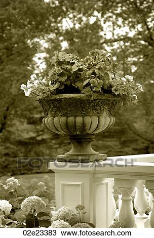 Flower pot on the edge of a railing. View Large Photo Image Stock Image - Flower pot on the edge of a railing.. Fotosearch