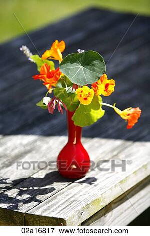Flowers on a table View Large Photo Image Stock Photo - Flowers on a table. Fotosearch