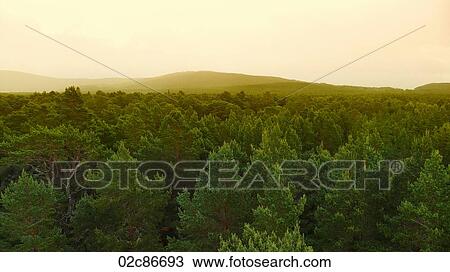 Forested landscape fading into hazy hills. View Large Photo Image Stock Image - Forested landscape fading into hazy hills.. Fotosearch