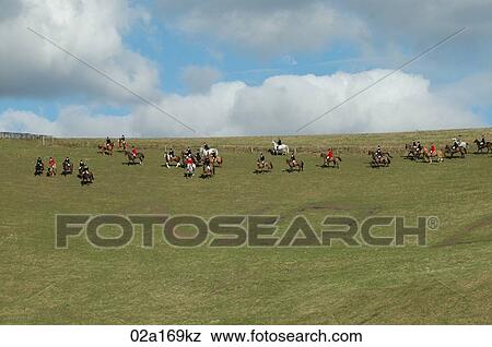 Stock Photo - Fox hunting. Fotosearch